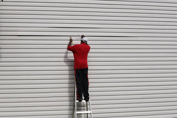 Best Composite Siding  in Lemmon, SD