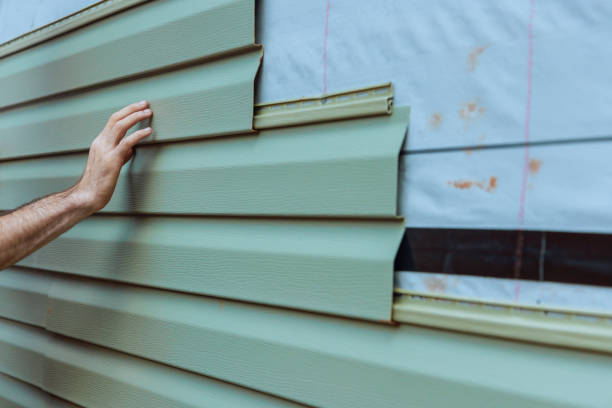 Best Aluminum Siding Installation  in Lemmon, SD